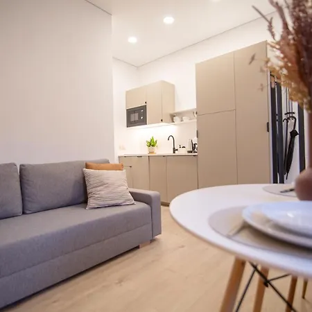 Lukiskes Square 公寓 维尔纽斯